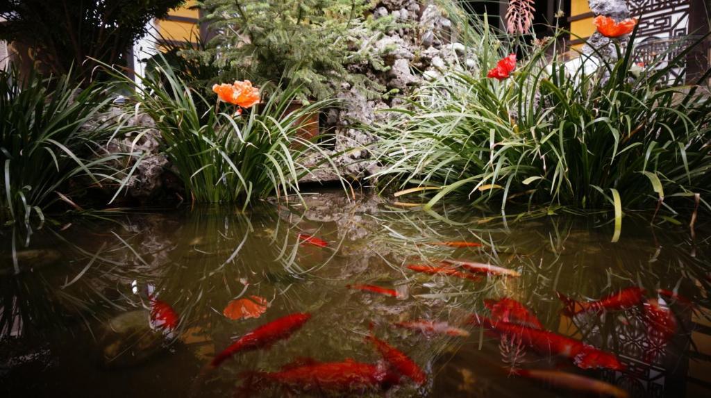 Lijiang Wangjia Courtyard Inn 外观 照片