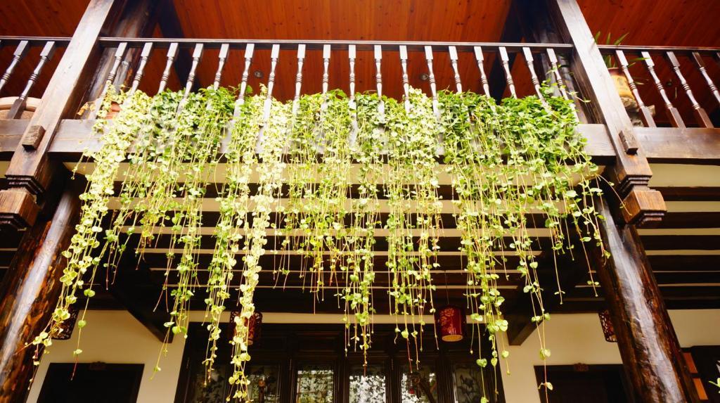 Lijiang Wangjia Courtyard Inn 外观 照片